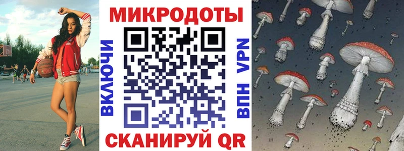 Купить  Устюжна  Псилоцибиновые грибы Magic Shrooms 